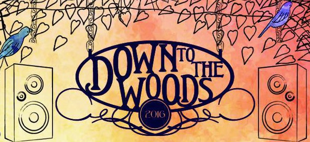 Down To The Woods Festival reveals headline acts